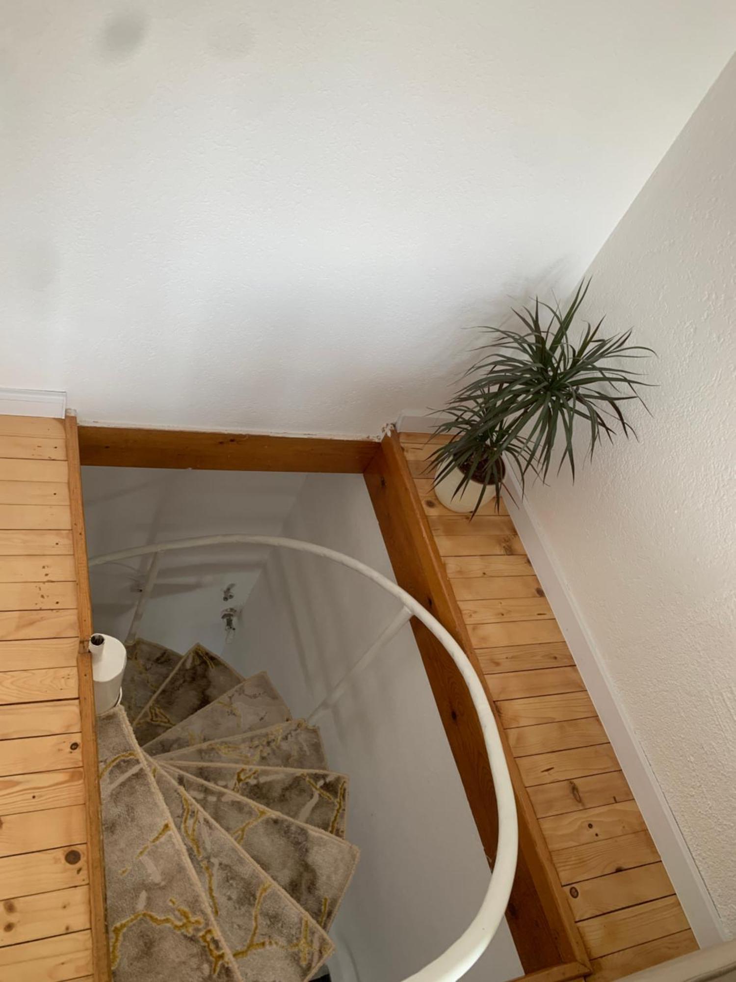 Little Heaven Free Parking Appartement SJJ Buitenkant foto